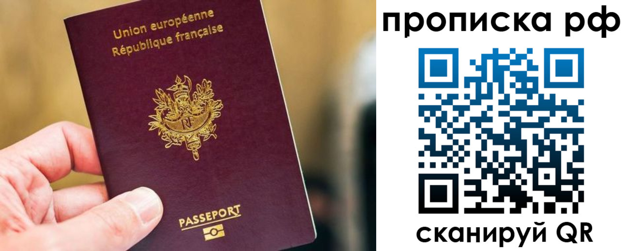 прописка штамп в Светлогорске