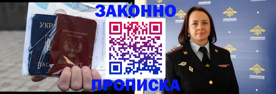 прописка 2025 в Светлогорске